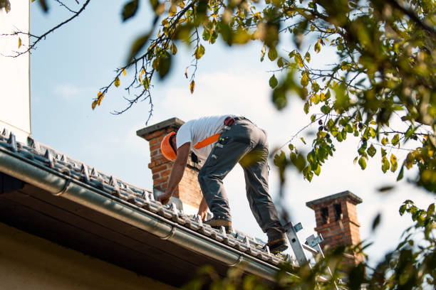 Best Roof Maintenance Services  in Laureles, TX