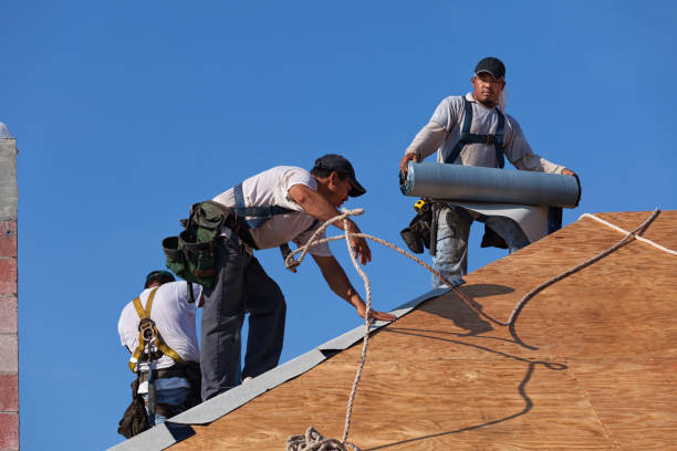 Best Roof Gutter Cleaning  in Laureles, TX