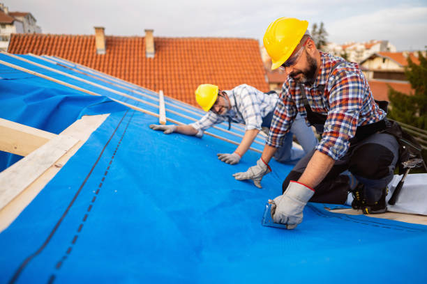 Roof Gutter Cleaning in Laureles, TX