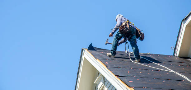 Best Roof Repair Services  in Laureles, TX
